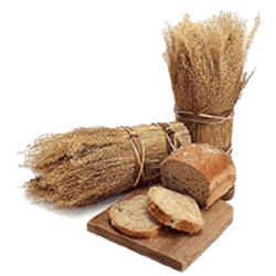 lammas_01
