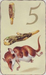gnm_26_wands_05